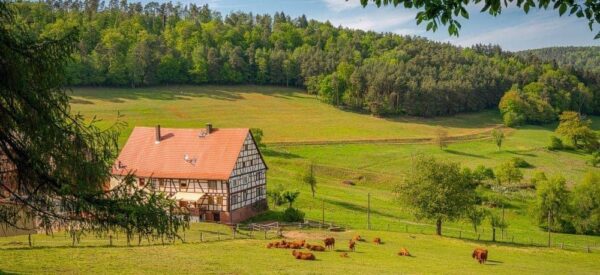Haus mit Wiese