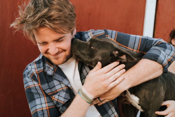 Hunde pflegen