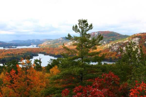 Ontario