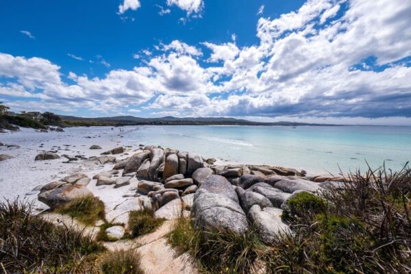 Stand in der Bay of Fires