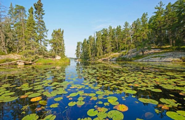 Ontario