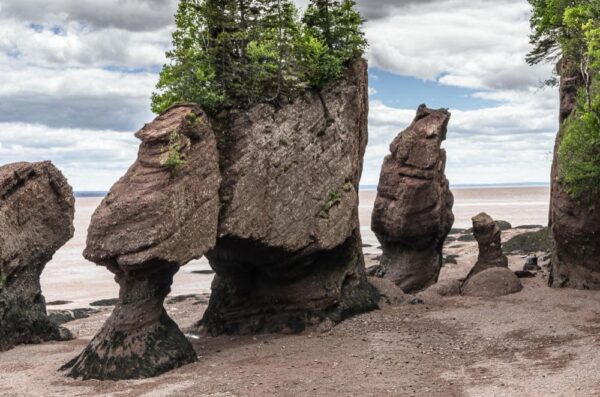 Hopewell Rocks