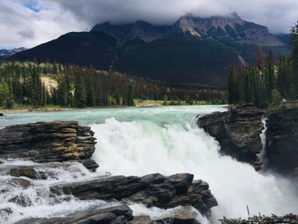 Athabasca Wasserfall