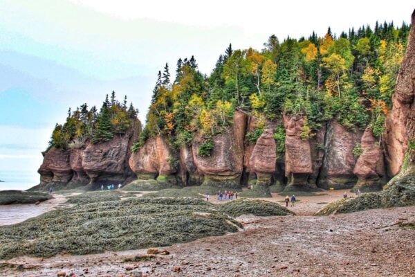 Hopewell Rocks