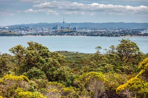 Blick auf die Waterfront von Auckland