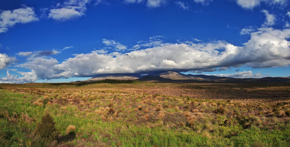 Tongariro National Park