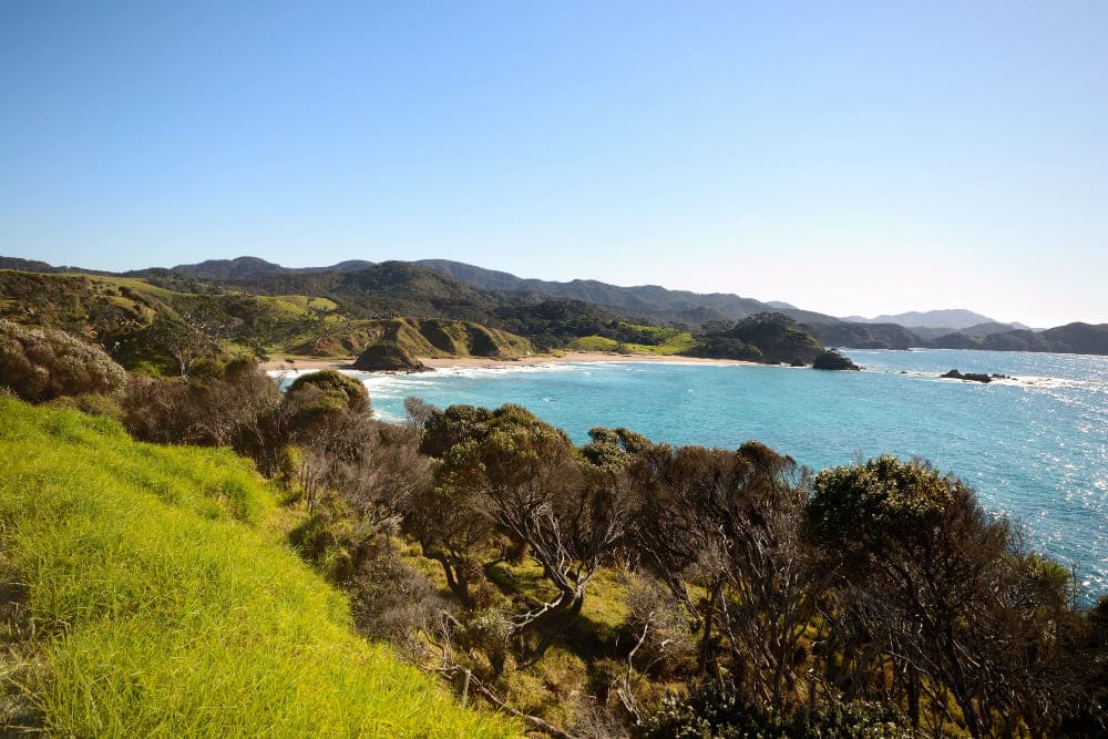 Blick auf Whangaruru Bay