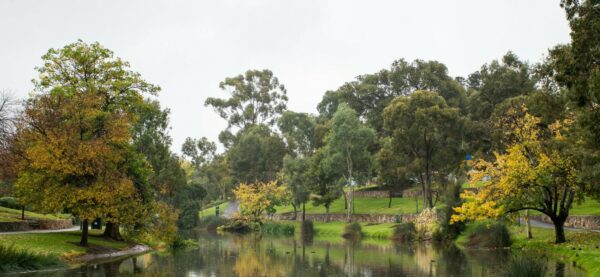 Park im Zentrum von Adelaide