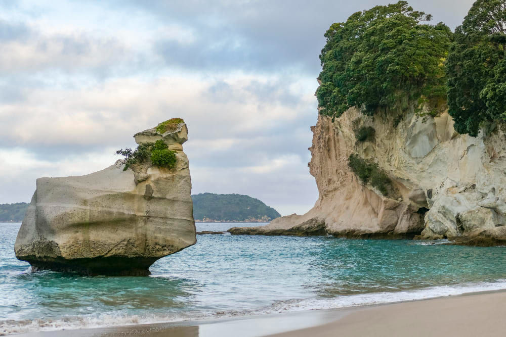 Cathedral Cove in Waikato