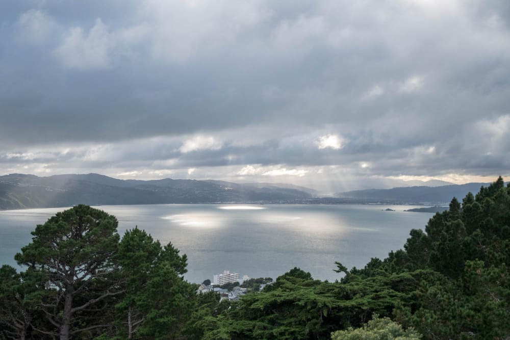 Blick auf den Hafen von Wellington