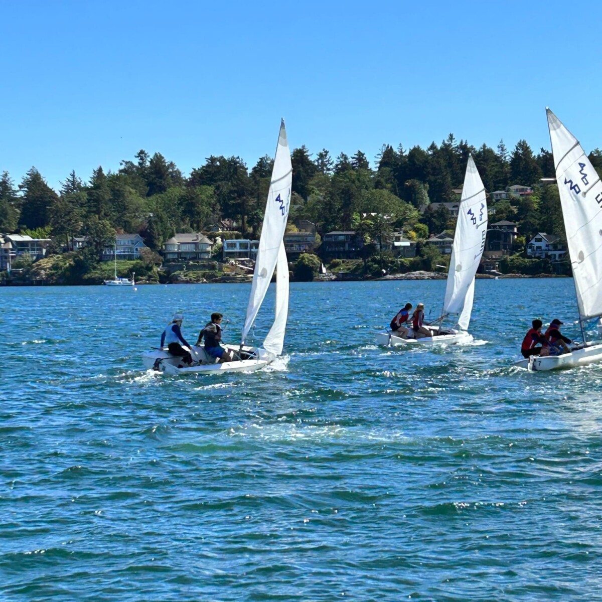 Segelregatta der Parkland Sailors
