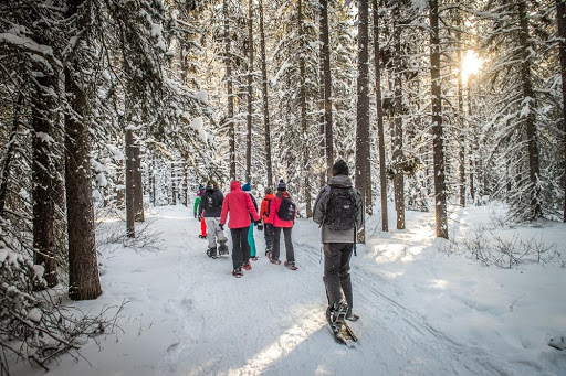 Winter Walk Day