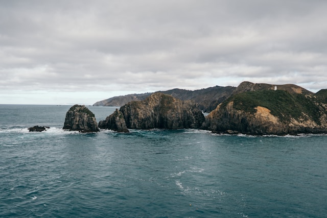 Felsenküste in Neuseeland