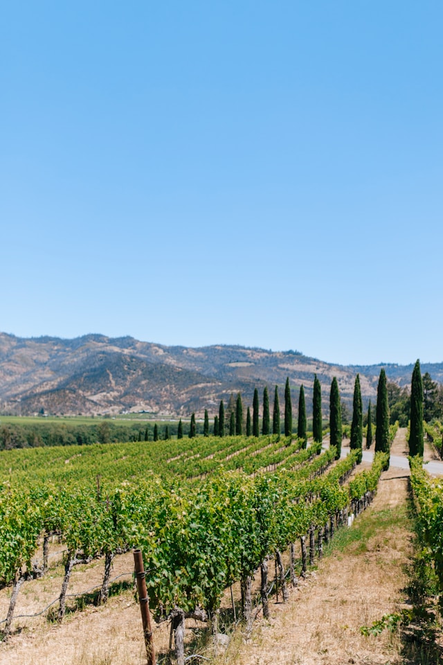 Napa, Kalifornien