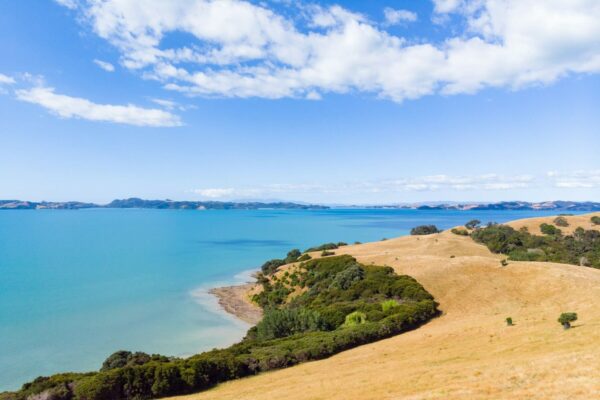 Auckland Landschaft