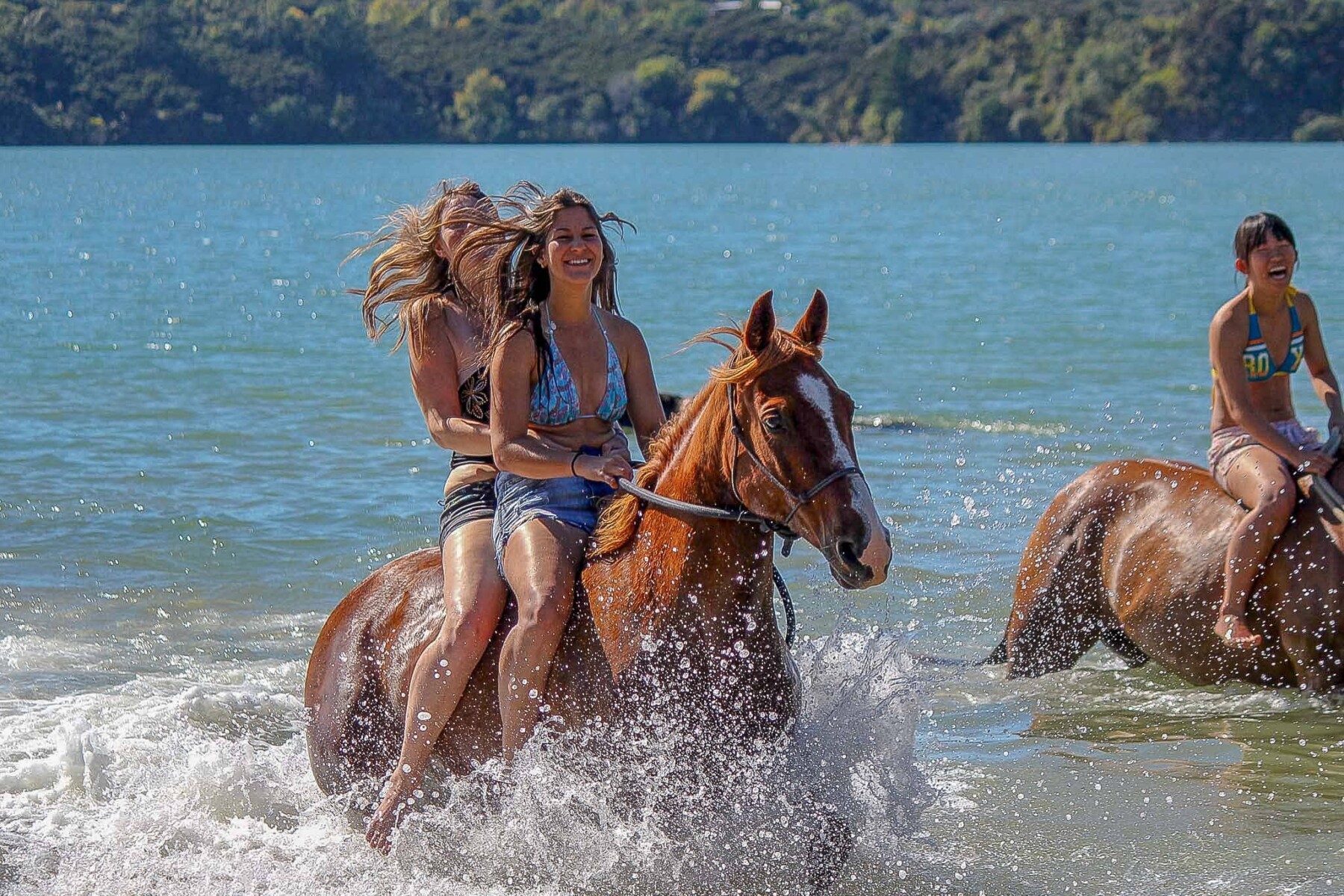 Reiten an der KeriKeri High School