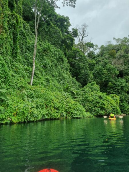 Natur in Costa Rica
